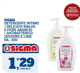 Il Punto Sigma Sigma Detergente Intimo offerta