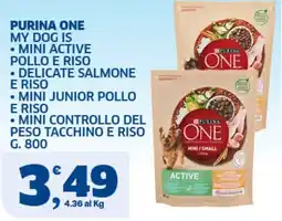 Il Punto Sigma Purina One Mini Active Pollo e Riso offerta