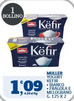 Il Punto Sigma Muller Yogurt Kefir offerta
