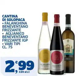 Il Punto Sigma Cantina di Solopaca Falanghina Beneventano Frizzante, Aglianico Beneventano Frizzante IGP, vari tipi offerta