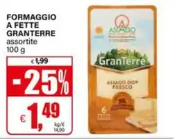 Il Gigante Formaggio a fette GranTerre offerta