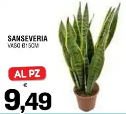 Al Discount Sanseveria offerta