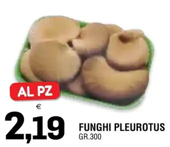 Funghi Pleurotus