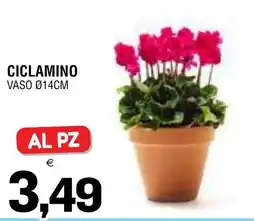 Al Discount Ciclamino offerta