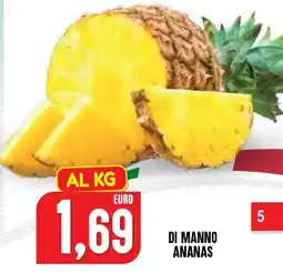 Al Discount Ananas di Manno offerta