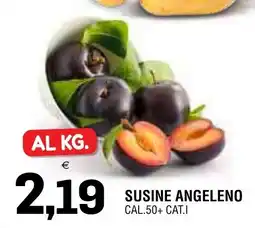Al Discount Susine angeleno offerta