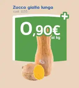 C+C Italmarket Zucca gialla lunga offerta