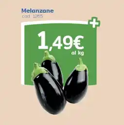 C+C Italmarket Melanzane offerta