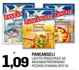 Al Discount Paneangeli lievito friggitrice ad aria/mastrofornaio/pizzaiolo/vanigliato offerta