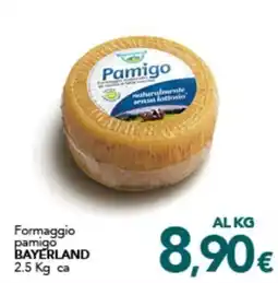 Altasfera Formaggio pamigo BAYERLAND offerta