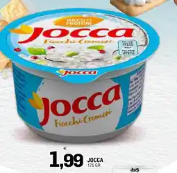 Al Discount Jocca Fiocchi Cremosi offerta