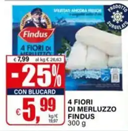 Il Gigante 4 Fiori di Merluzzo Findus offerta