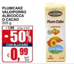Il Gigante Plumcake Valdiporro albicocca offerta