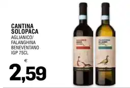 Al Discount Cantina Solopaca Aglianico/Falanghina Beneventano IGP offerta