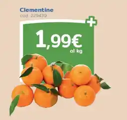 C+C Italmarket Clementine offerta