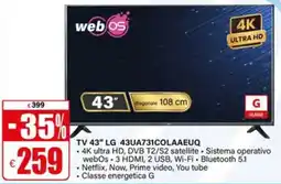 Il Gigante TV 43" LG offerta