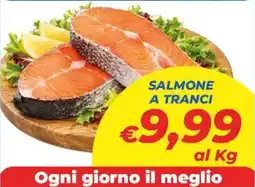 DEM Salmone a tranci offerta