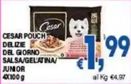 DEM Cesar pouch delizie del giorno salsa/gelatina junior offerta
