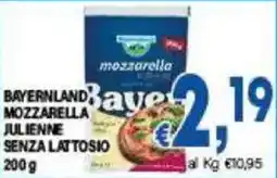 DEM Bayerland mozzarella julienne senza lattosio offerta