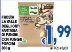 DEM Frosta Fantasia di funghi con funghi porcini offerta