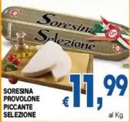 DEM Soresina Provolone Piccante Selezione offerta