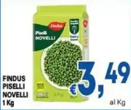 DEM Findus piselli novelli offerta