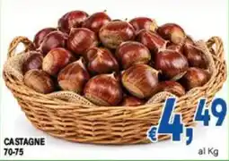 DEM Castagne offerta