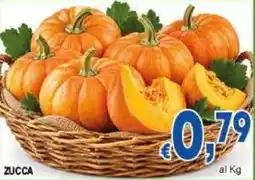 DEM Zucca offerta