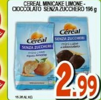 Sacoph Plum cake offerta