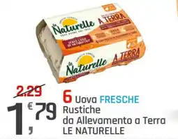 Supermercati Dok Uova fresche rustiche da allevamento a terra Le Naturelle offerta