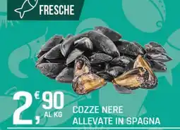 Supermercati Dok Cozze nere allevate in Spagna offerta