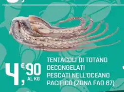 Supermercati Dok Tentacoli di totano offerta