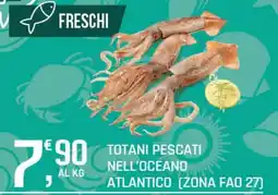 Supermercati Dok Totani pescati nell'oceano atlantico offerta