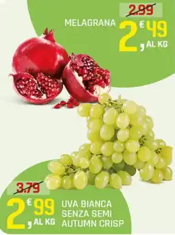 Supermercati Dok Melagrana offerta