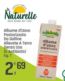 Supermercati Dok Albumе d'Uovo Pastorizzato Da Galline Allevate A Terra Senza Uso Di Antibiotici offerta