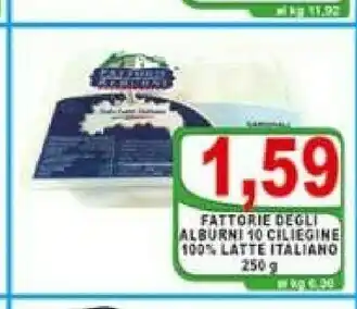 Provola
