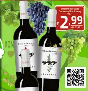 Sacoph Vino offerta