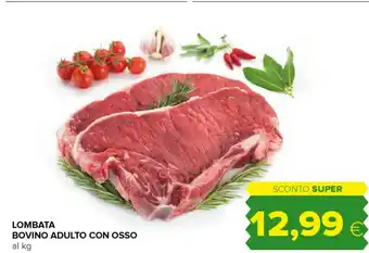 Tigre Lombata bovino adulto con osso offerta