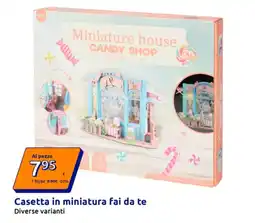 Action Casetta in miniatura fai da te offerta