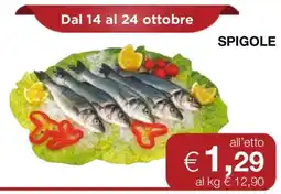Coop Spigole offerta