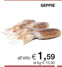 Coop Seppie offerta