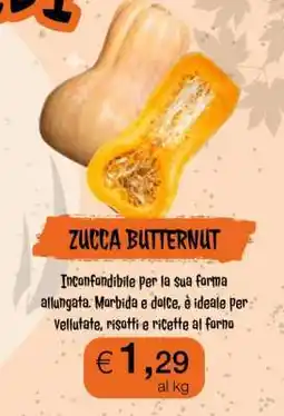 Coop Zucca Butternut offerta
