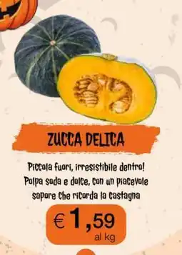 Coop Zucca Delica offerta