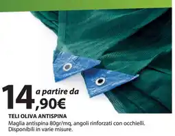 Kreo Brico e Casa Teli oliva antispina offerta