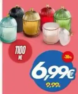 Franzy's Vaso decorativo offerta