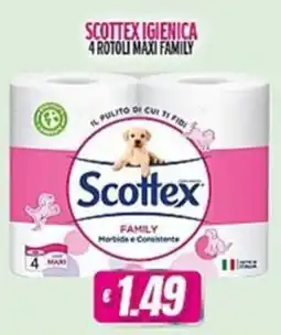 Vitulano Drugstore Scottex igienica family offerta