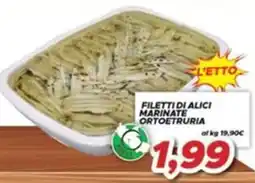 MA Supermercati Filetti di alici marinate Ortoetruria offerta