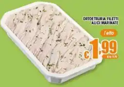 Sacoph Ortoetruria filetti alici marinate offerta