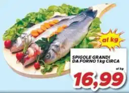 MA Supermercati Spigole grandi da forno offerta