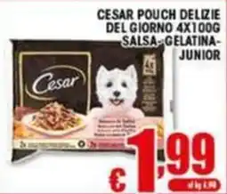 Sacoph Cesar pouch delizie del giorno salsa-gelatina-junior offerta